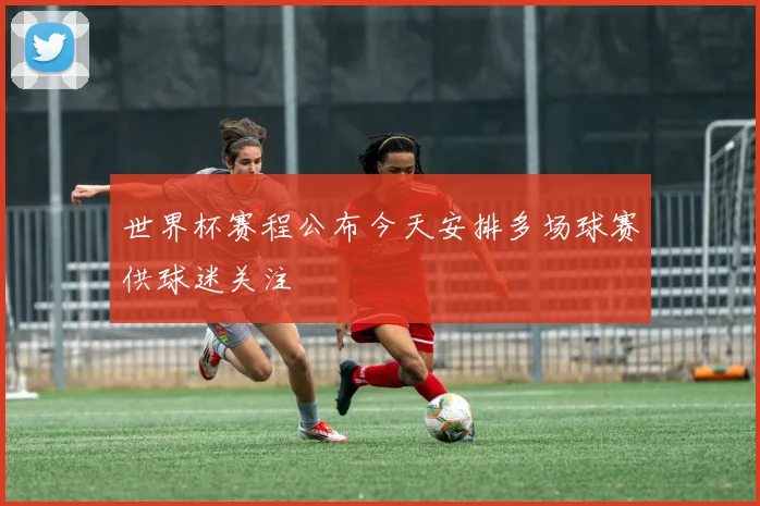 世界杯赛程公布今天安排多场球赛供球迷关注