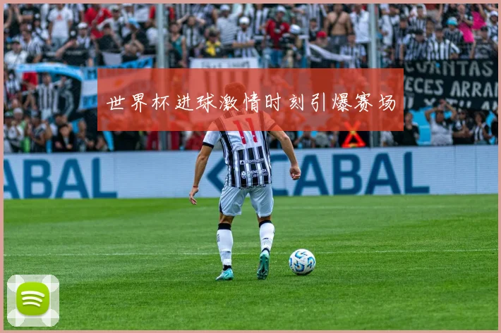 世界杯进球激情时刻引爆赛场