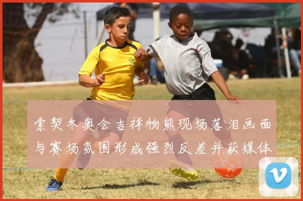 索契冬奥会吉祥物熊现场落泪画面与赛场氛围形成强烈反差并获媒体关注