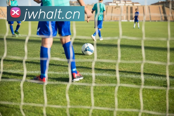 压球首页发展历程